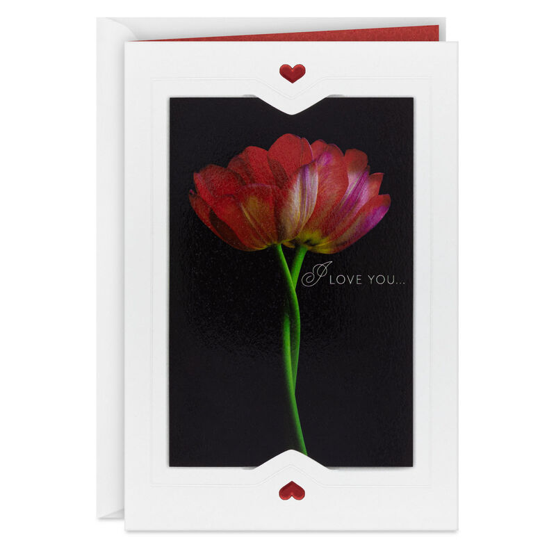 Red-Flowers-on-Black-Romantic-Anniversary-Card_599AVY3421_01