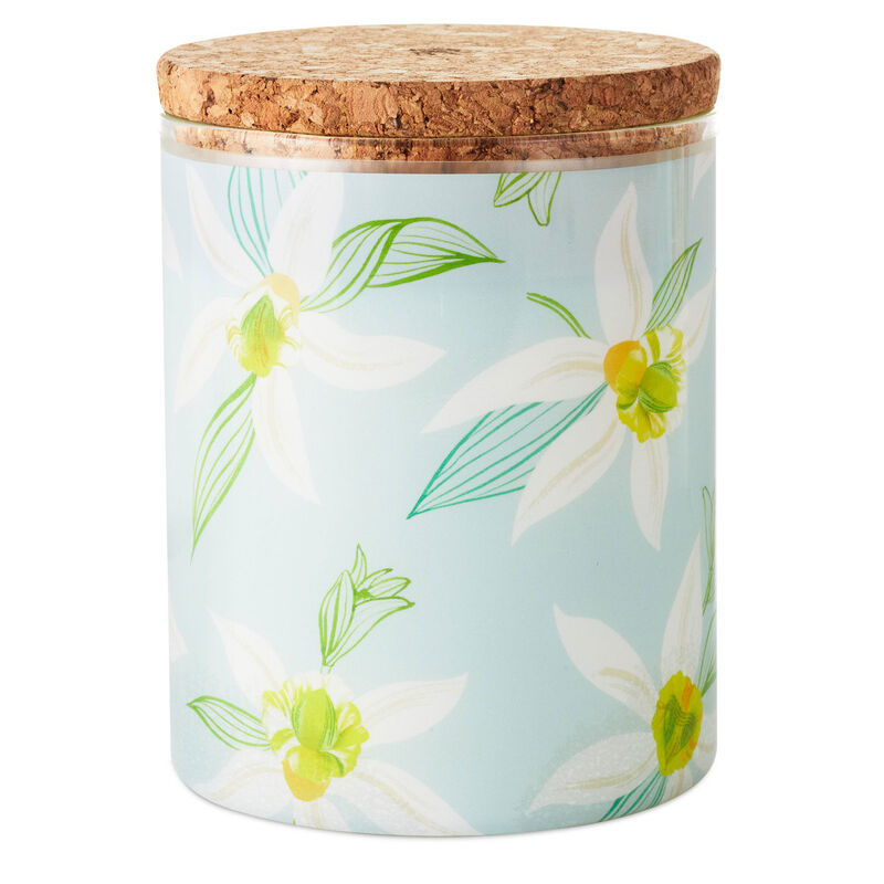 Salted-Vanilla-and-Sandalwood-Scented-Jar-Candle_1CND1004_01