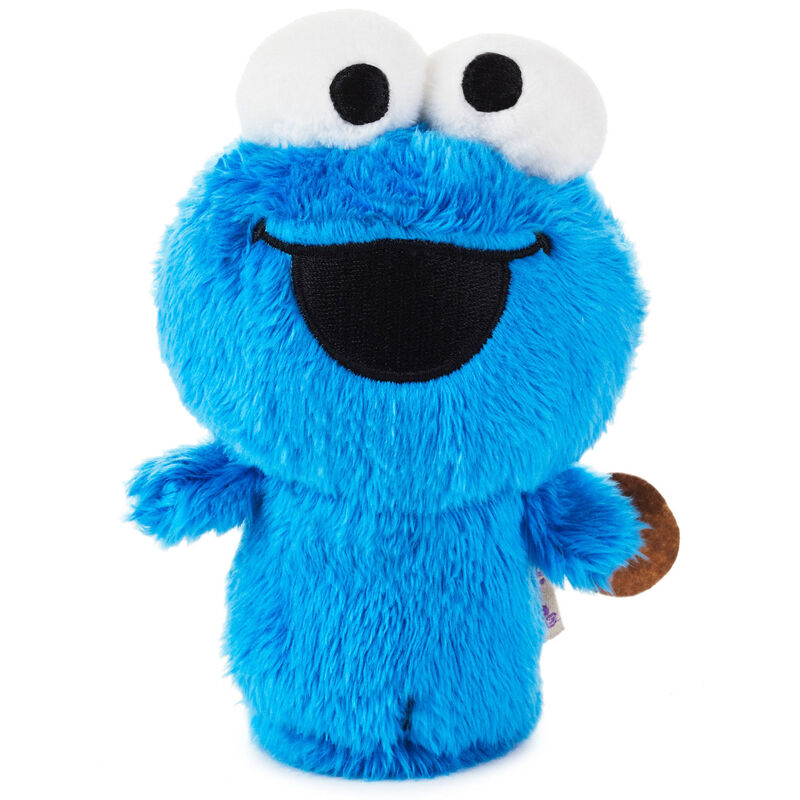 Sesame-Street-Cookie-Monster-Plush-itty-bittys_1KDD2115_01