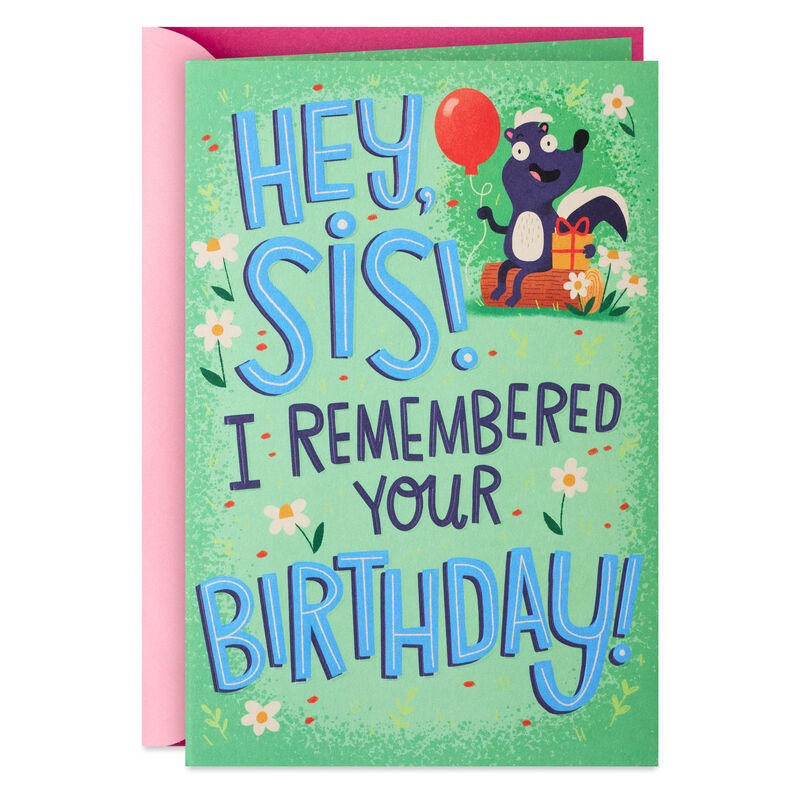 Skunk-Funny-Birthday-Card-With-Sticker-for-Sister_599FBD5740_01