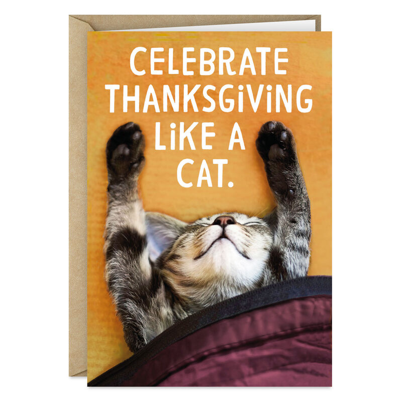 Sleeping-Cat-Under-Blanket-Funny-Thanksgiving-Card_369ZTH6009_01