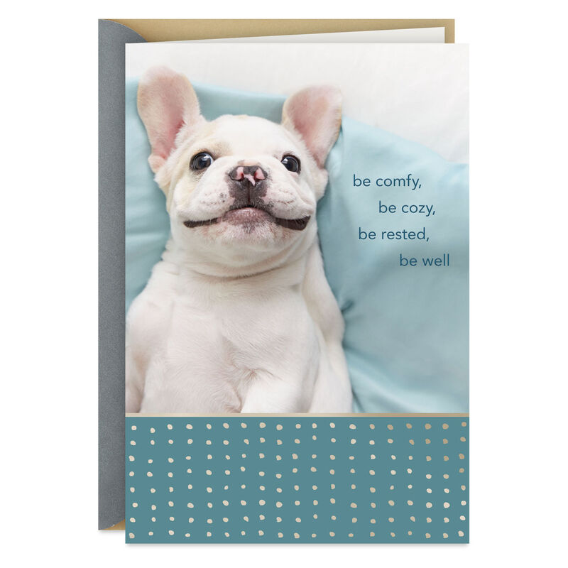 Smiling-Bulldog-Puppy-Get-Well-Card_299C8399_01