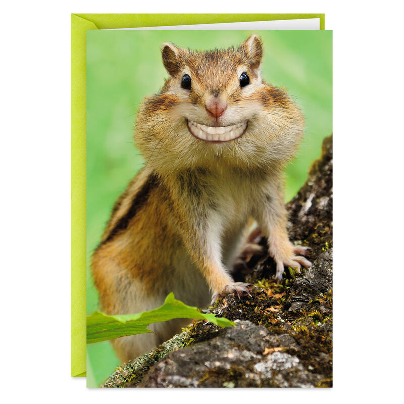 Smiling-Chipmunk-Funny-Congrats-Card_399ZZS6518_01