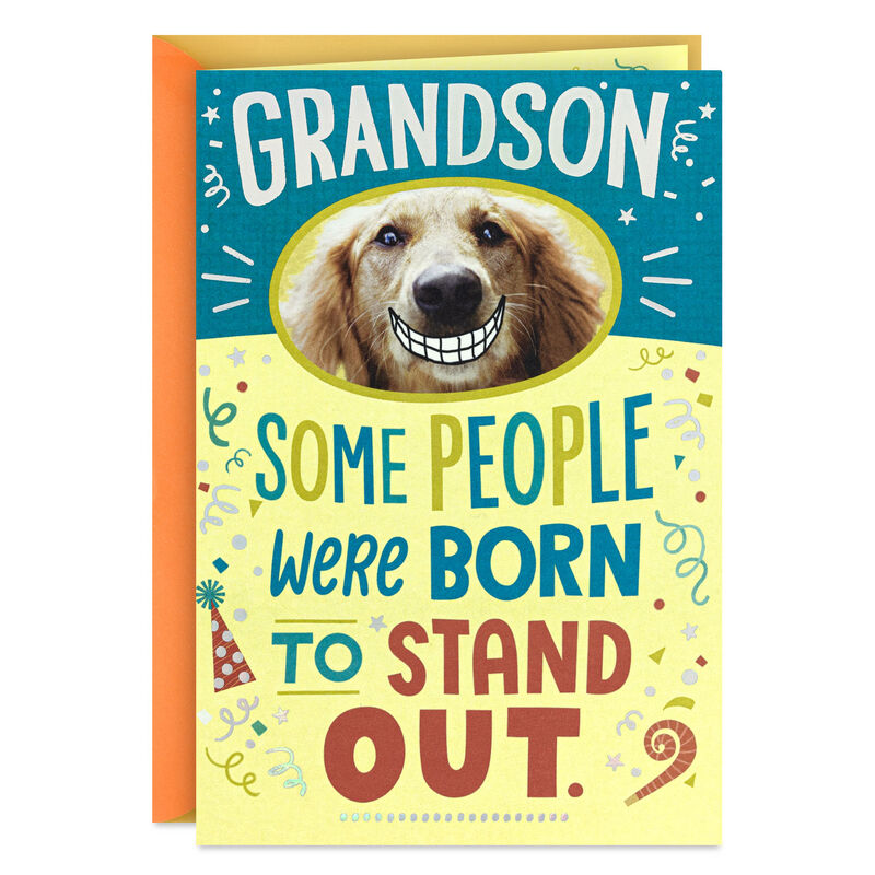 Smiling-Dog-PopUp-Birthday-Card-for-Grandson_499HKB6252_01