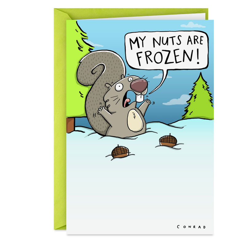 Squirrels-Nuts-Funny-Christmas-Card_399ZX1243_01
