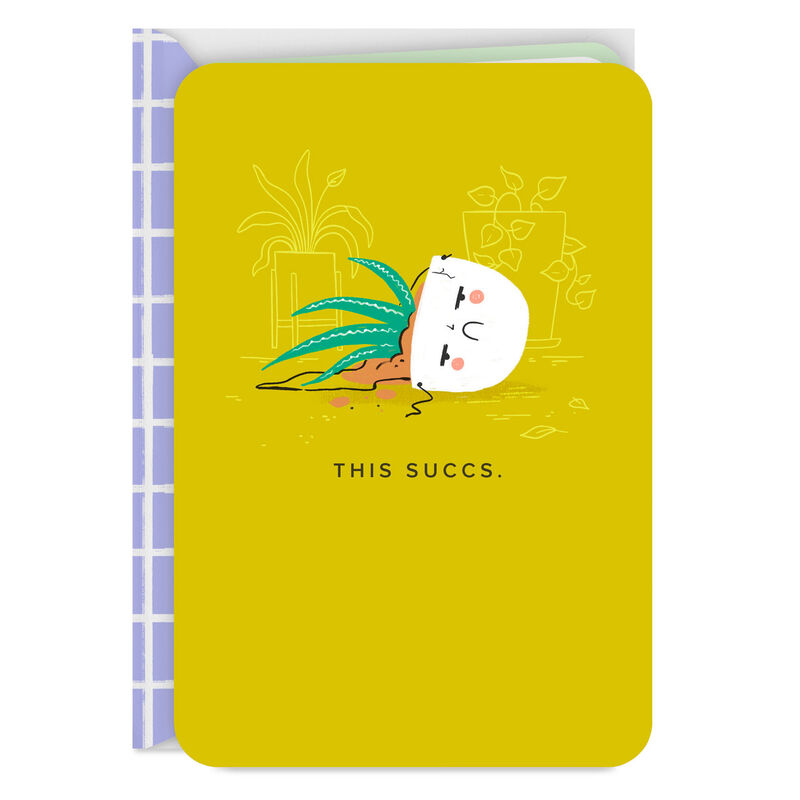 Succulent-Plant-in-Broken-Pot-Encouragement-Card_299LJB1423_01