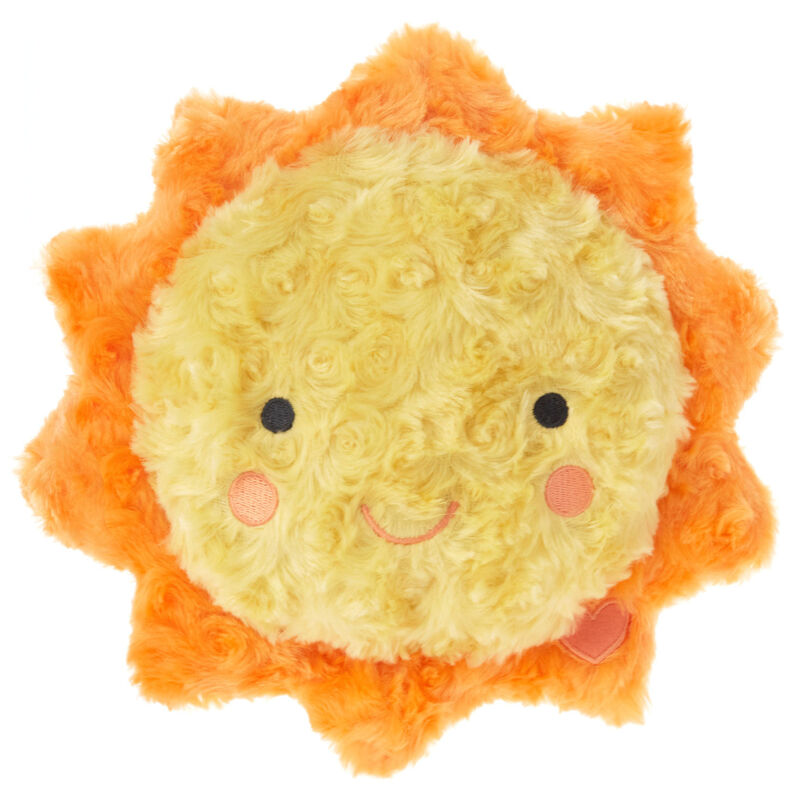 Sunshine-Recordable-Plush-Stuffed-Animal-With-Sound_1BBY4818_01