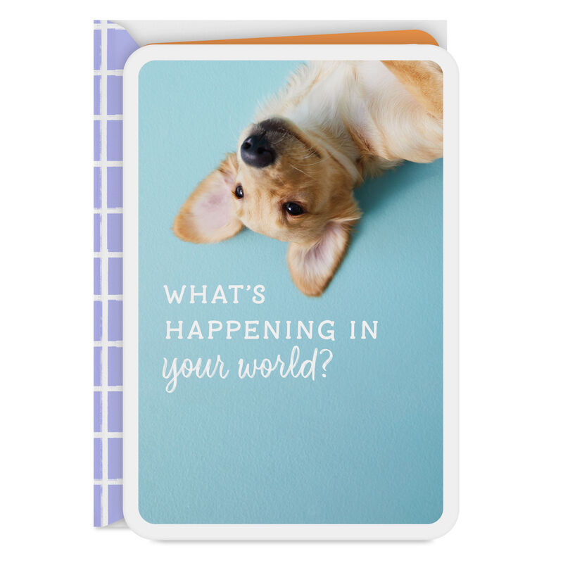UpsideDown-Dog-Blank-Card_299LJB1394_01