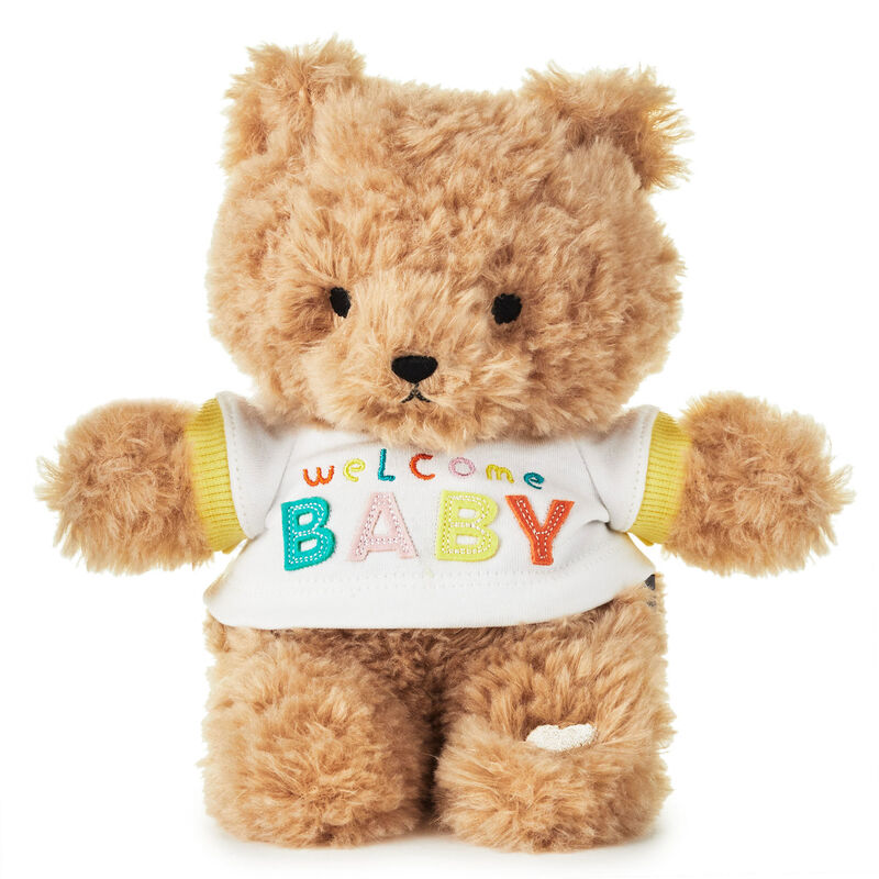 Welcome-Baby-Recordable-Teddy-Bear-Plush_1BBY4793_01