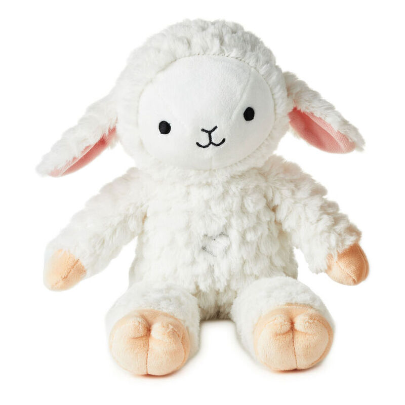 White-Lamb-With-Baa-Sounds_1KFA4006_01