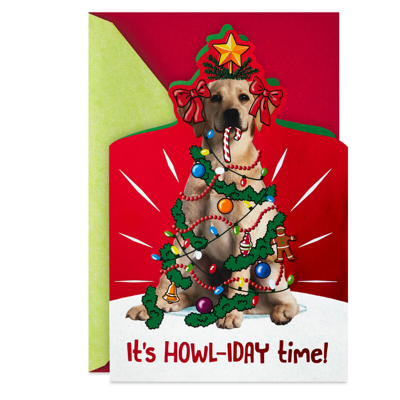 Yellow-Lab-Dog-in-Christmas-Decor-Christmas-Card_459XKD5029_01