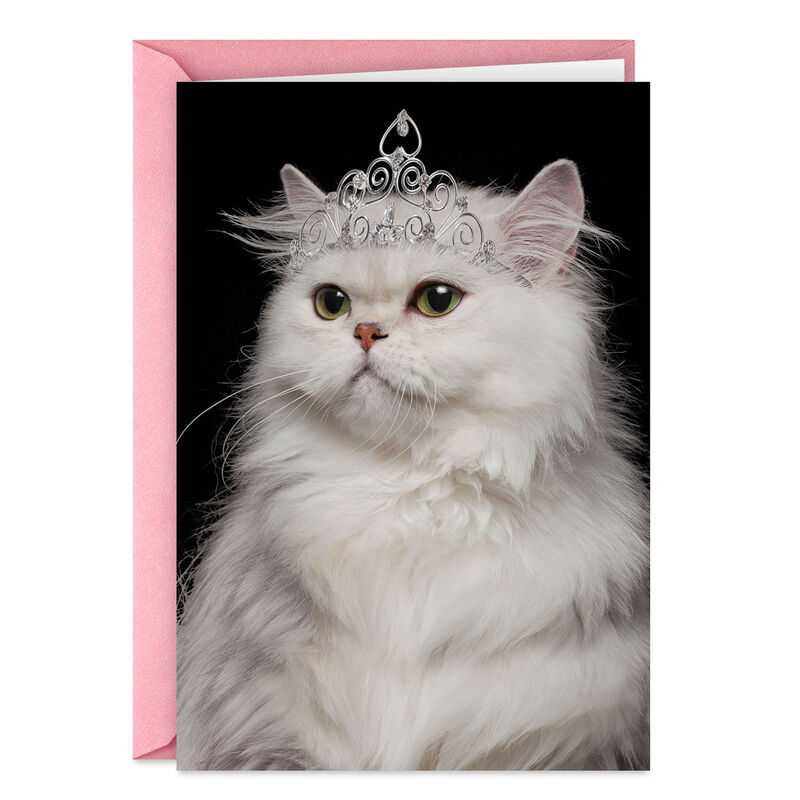 Youre-the-Damn-Queen-Funny-Birthday-Card_399ZZB6219_01